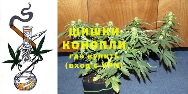 гашик Нея