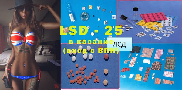 гашик Нея