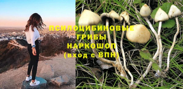 прущая мука Алагир