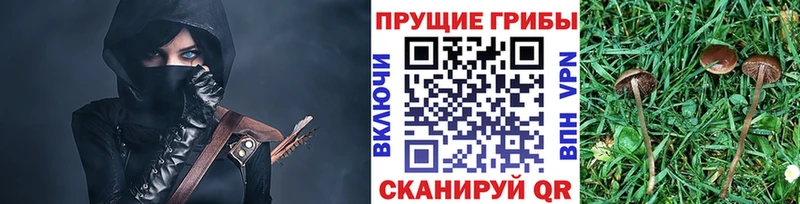 цена наркотик  Таганрог  Псилоцибиновые грибы мухоморы 