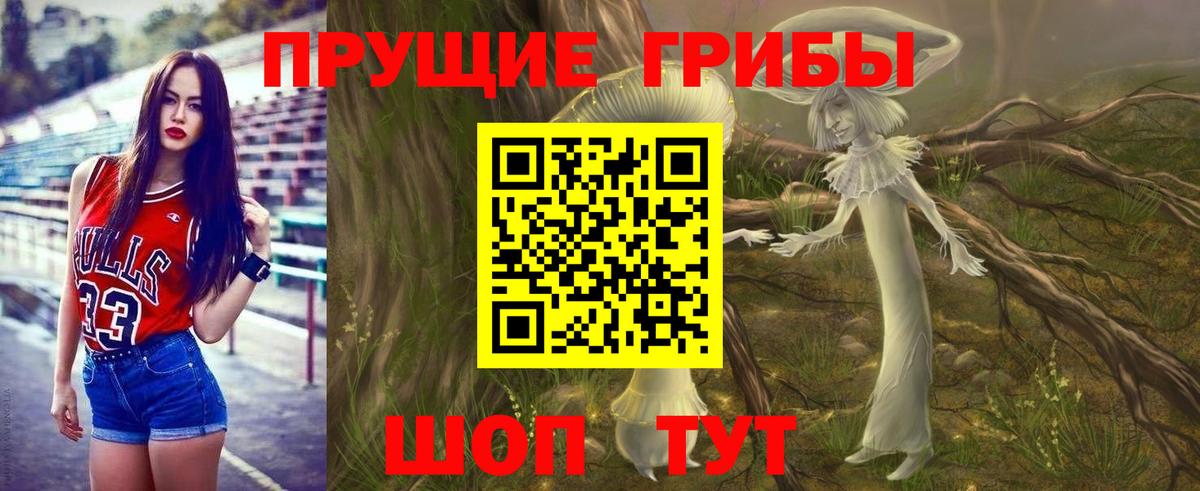 Таганрог  Псилоцибиновые грибы Cubensis  что такое   Вход с VPN  Псилоцибиновые грибы мухоморы 